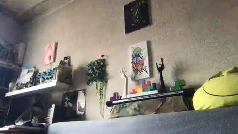 srekos38 online show from 5, 10, 2025