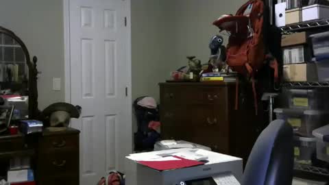 Snapshot of stasw20 chatting on 25, 1, 2025 stasw20 online show from 25, 1, 2025