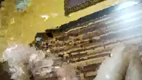 stchelly627 online show from 8, 3, 2026