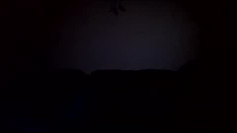 stefy1037 online show from 19, 2, 2025