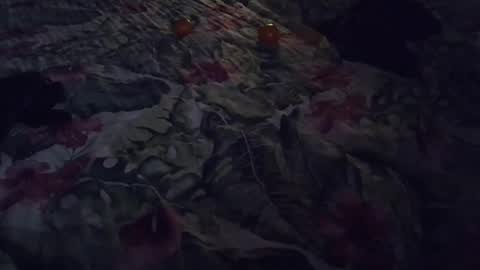 Snapshot of stel7621 chatting on 7, 1, 2025 Rocco-load online show from 7, 1, 2025