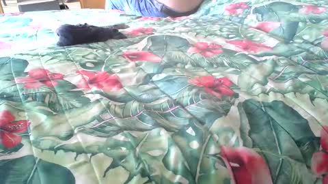 Snapshot of stel7621 chatting on 16, 10, 2025 Rocco-load online show from 16, 10, 2025