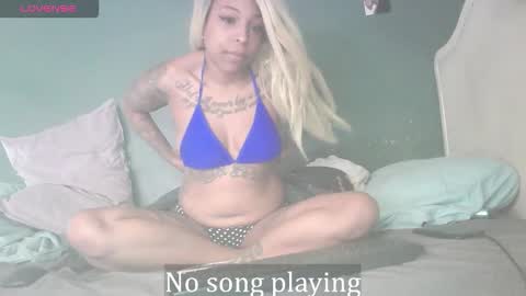 Stella Clitella online show from 17, 1, 2026