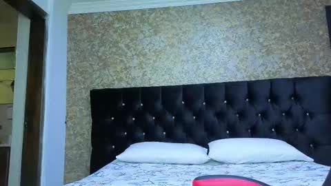 Snapshot of stella_xue chatting on 4, 11, 2025 Estella online show from 4, 11, 2025