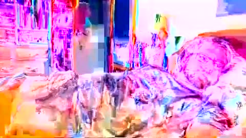 Ian23602 online show from 28, 2, 2026