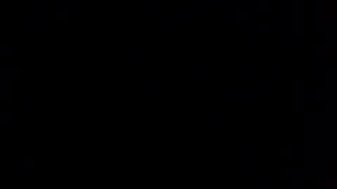 stiles91 online show from 14, 12, 2024