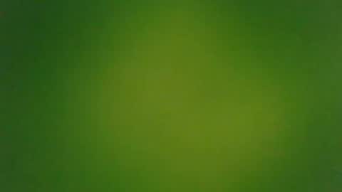 stonedandlovingit online show from 3, 3, 2025