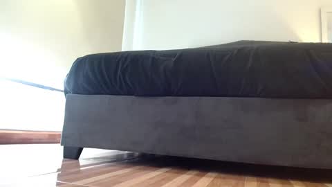 Snapshot of storm_hanks chatting on 29, 11, 2025 storm_hanks online show from 29, 11, 2025