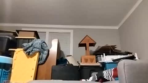 Streetwyze online show from 23, 10, 2025