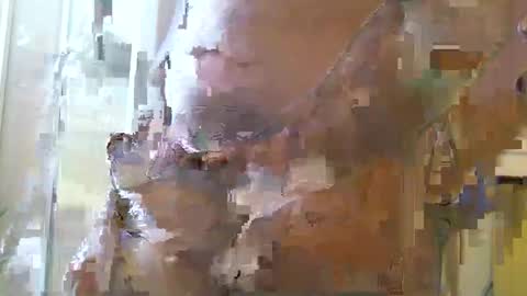 straightstroker81 online show from 11, 12, 2024