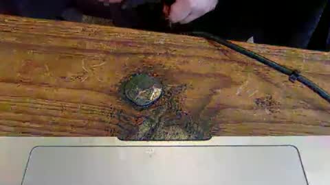 strap1on212 online show from 12, 4, 2026