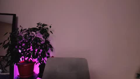 Mary online show from 18, 12, 2024