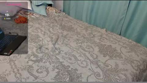 stupid little kitten online show from 6, 12, 2024