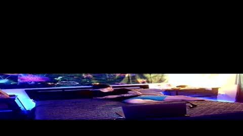 Stycock88 online show from 2, 3, 2026