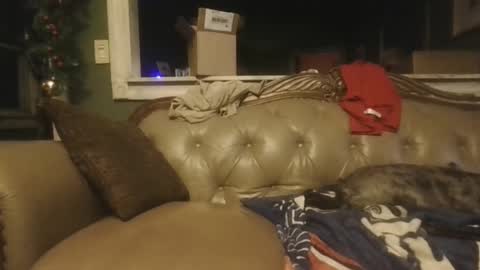 Snapshot of sub_michael41 chatting on 21, 12, 2024 sub_michael41 online show from 21, 12, 2024