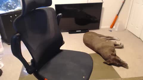 Snapshot of subryan03 chatting on 15, 10, 2025 do i have lil tits or pecs online show from 15, 10, 2025