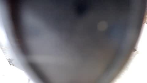 Snapshot of sugarplumy chatting on 10, 7, 2026 KUROME online show from 10, 7, 2026