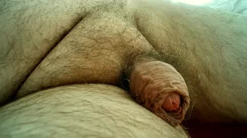 Samenspender online show from 28, 10, 2025