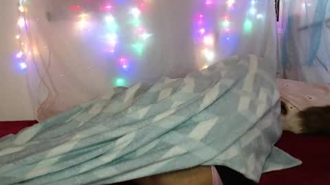 zuley online show from 4, 3, 2026