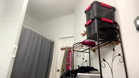 Sunny Clementine online show from 4, 11, 2025