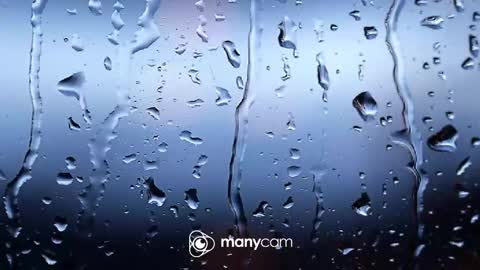 sven online show from 4, 2, 2026