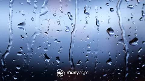 sven online show from 6, 2, 2026