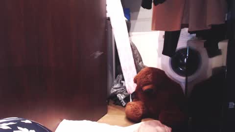 Snapshot of sunshinehella chatting on 3, 12, 2024 Hella online show from 3, 12, 2024