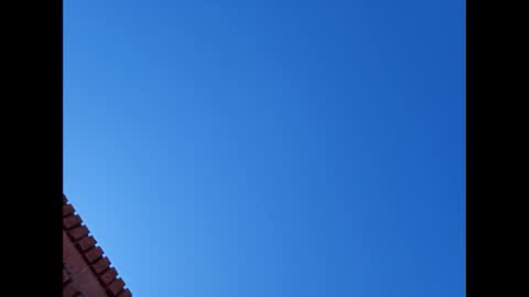 Suntroll online show from 6, 1, 2025