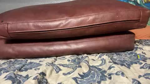 Stony online show from 20, 1, 2025