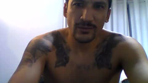 PAPI online show from 6, 7, 2026