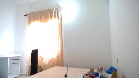 Snapshot of susanaduncann chatting on 21, 1, 2025 Susana online show from 21, 1, 2025