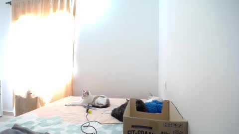 Snapshot of susanaduncann chatting on 23, 1, 2025 Susana online show from 23, 1, 2025