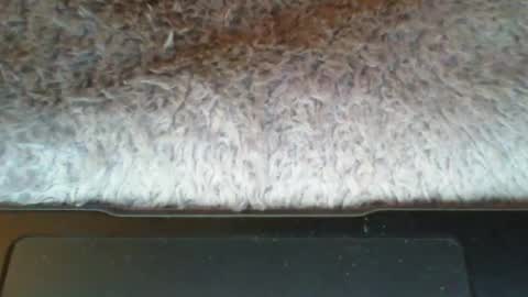 Suseee online show from 21, 3, 2026