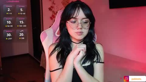 Jadde  online show from 3, 12, 2024