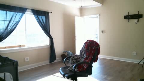 Swals online show from 2, 2, 2025