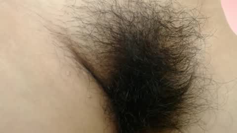 Barbara online show from 8, 3, 2026