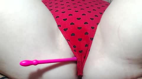 Kitten online show from 14, 5, 2026