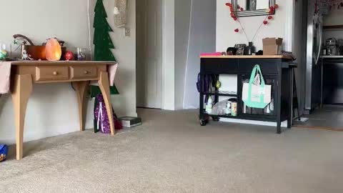 Heidi Brenner - Please check bio for schedule  FAQ online show from 14, 12, 2025