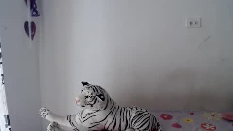Snapshot of sweetgirsl chatting on 29, 4, 2026 sweetgirsl online show from 29, 4, 2026