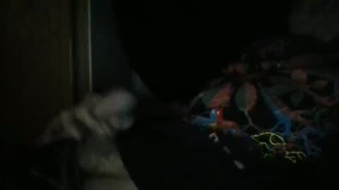 Snapshot of sweetpussylicks chatting on 29, 12, 2024 sweetpussylicks online show from 29, 12, 2024