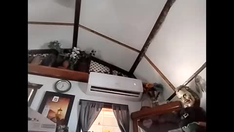 sweetsugar64 online show from 3, 2, 2026