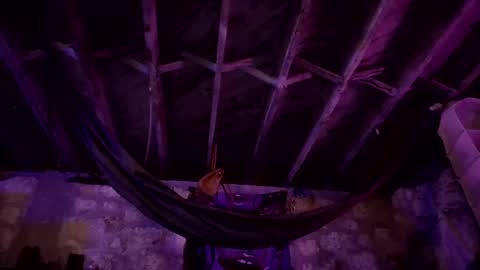 switchinjay online show from 2, 10, 2025