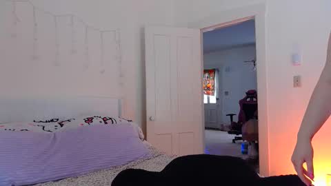 Snapshot of switchykitty chatting on 21, 2, 2026 ashley blayde online show from 21, 2, 2026