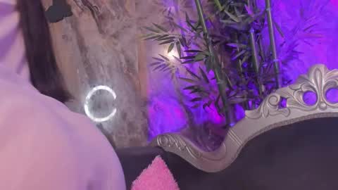 Sydney online show from 5, 3, 2026