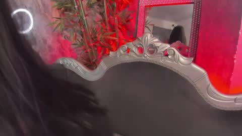 Sydney online show from 25, 3, 2026