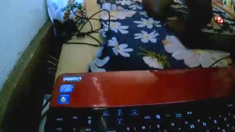 sylviasexy27 online show from 18, 11, 2025