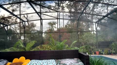 Jennah online show from 17, 12, 2025