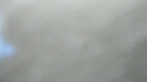 Mila online show from 2, 4, 2026