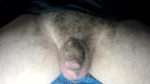 mr taco online show from 13, 2, 2025