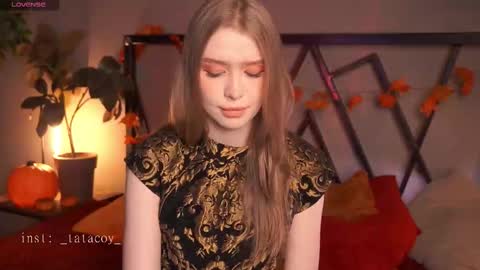 TataCoy online show from 11, 11, 2025